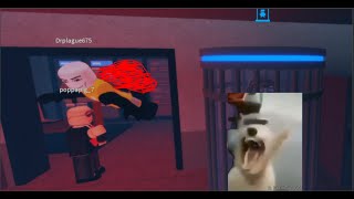 Video medio funable de Roblox