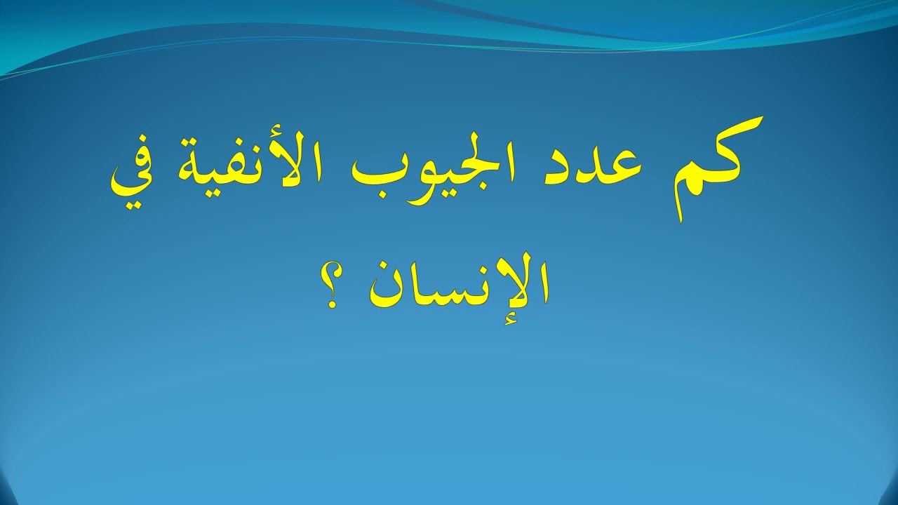 كم عدد الجيوب الأنفية في الإنسان Youtube