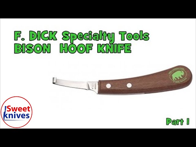 F Dick Narrow Knife - Hoof Trimmer Supply