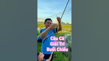 Xem Full👆Chiều 2 cha con đi câu cá giải trí #fishing #youtubeshorts #xuhuong #funny