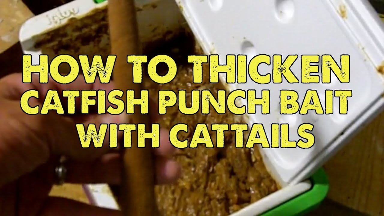 How To Thicken Catfish Punch Bait With Cattails 