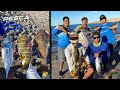 Pesca de Pargo, Barrilete, Cabrillas y mas desde orilla! | La Paz, BCS