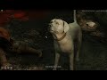 Speaking to A Dog | Speak with Animals Spell | Dog Companion? | Baldur's Gate 3