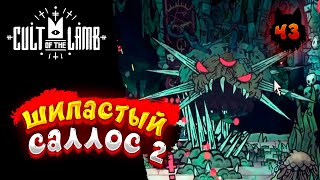 Cult of the Lamb - Прохождение в 2023 | Культ Ягнёнка | Серия 43