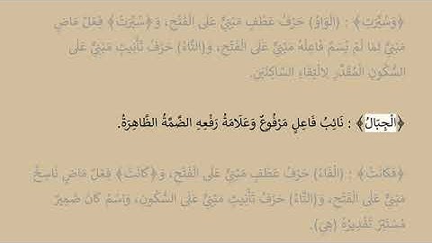 إعراب سورة النبأ آية رقم  20