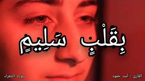 تلاوه / تفطر القلب /القارئ اسد حمود