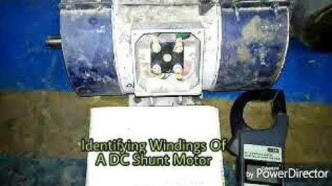 How to identify the windings of a DC Shunt Motor