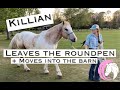 Killian Leaves the Roundpen + Moves into the Barn