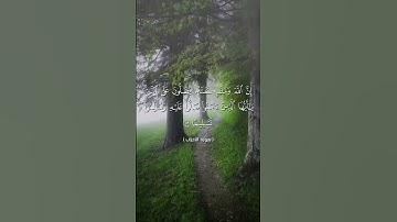 ان الله وملائكته يصلون على النبي..حالات واتس اب دينية يوم الجمعة بصوت أبي العباس #سورة_الاحزاب