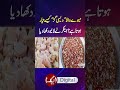 #Gurh #Desi #Viralvideo #dryfruits #aiknews #winter  #ytashorts #shortsvideo #aikdigital