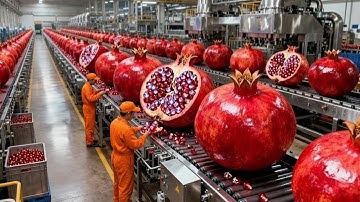 Inside a Modern Pomegranate Factory From Raw Pomegranates to Quality Drinks (Full Process)
