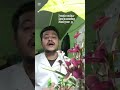 ডায়াবেটিস কি? টাইপ ২ ডায়াবেটিস কি?#diabetes #ডায়াবেটিস #nursing #nurse #nurseeducator #bangladesh
