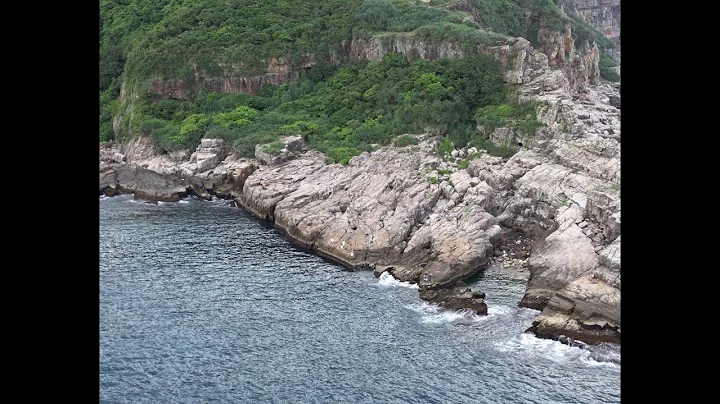 東北角 龍洞一支 來看魚長大沒 野猿釣法真的猛 #磯釣#臭肚#花枝#黑豬哥#4k#fishing - 天天要聞