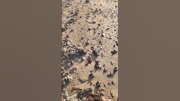 فضل قرأت سورة الكهف يوم الجمعه #ابن_عثيمين