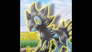 Celebrity Luxray edit. (Pokemon) Net Worth