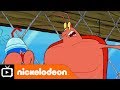 SpongeBob SquarePants | The Healthy Krab | Nickelodeon UK