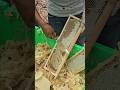 Sweet harvesting the best honeycomb in farm #amazing #beekeeper #workerbee #honey #family #insects