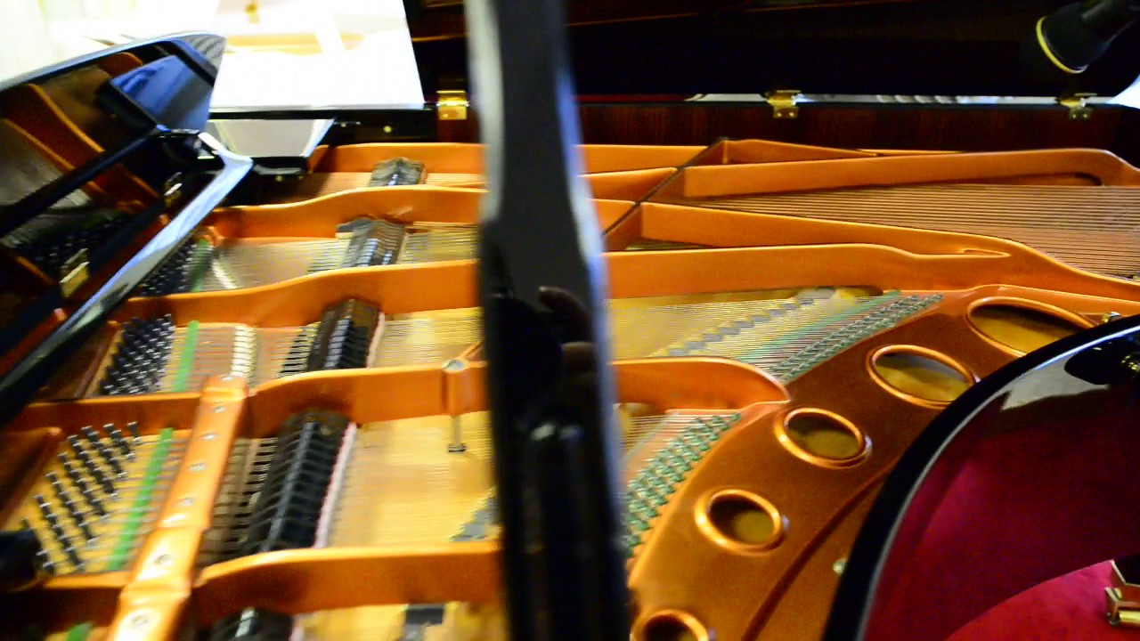 Piano à queue exceptionnel : Bösendorfer 225