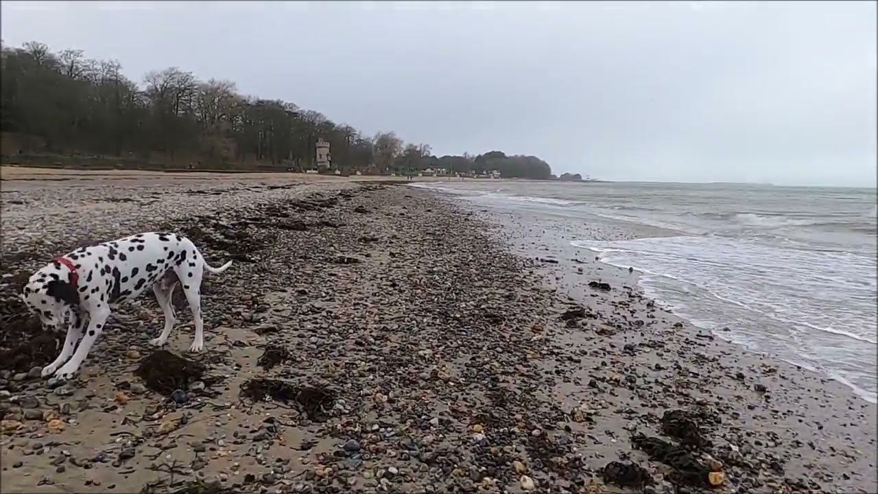 Virtual Walk - Puckpool Park To Appley Tower - Ryde, Isle Of Wight - February 2022 | kittikoko 