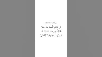 سورة الأنعام ١٦٠