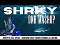 Ready To Go x Abyss   SHOCKONE feat  Bright Sparks vs  Metrik   SHRKY's DnB Mashup
