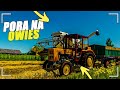 🔥 kosimy owies 2022 🔥|🔥 Fortschritt &amp; Ursus c360 3p z autosanką 🔥|🔥 polski klimat 🔥 Fs22 🔥 [RETURN]