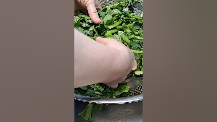 초간단40분투자 아삭한 열무김치 만드는법 #shorts 풀영상은 설명란 혹은 부산아지매레시피 채널에서 만나보세요 구독 좋아요는 사랑입니다 💕 감사합니다 🙏😊