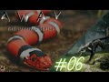 🐿️ AWAY THE SURVIVAL SERIES🌰#06 - BUGGY Spiel nervt mich.