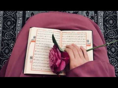 لن أيأس موسى مصطفى