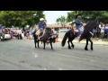 toro bailando en el desfile de 5 mayo 2016 modesto CA. ....bull dancing 5 de mayo modesto ca.