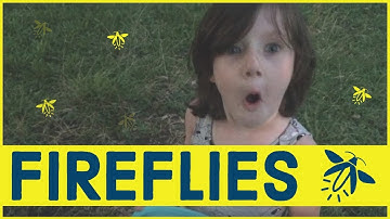 Catching Fireflies ⚡Lightning Bugs ⚡ Kids Exploring Nature 🍃