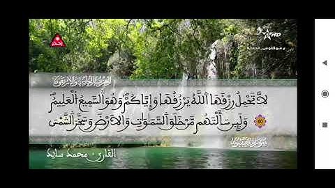 القرآن الكريم على قناة محمد السادس المغربية 🇲🇦