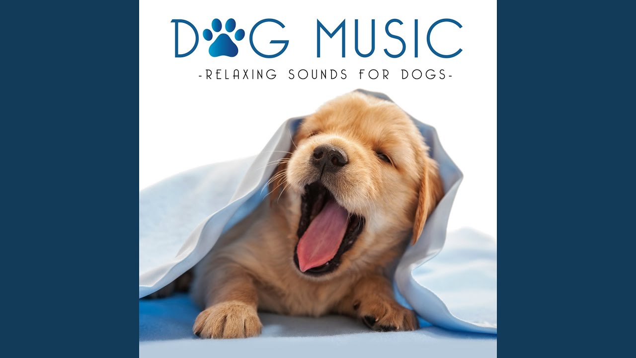 Faded adlı videoyu YouTube'da izle Faded adlı videoyu YouTube'da izle