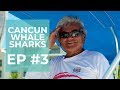 Ep. 3: Cancun Whale Shark Season- How to choose a responsible operator