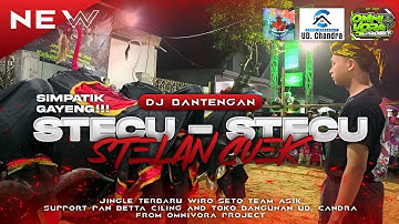 DJ BANTENGAN STECU - STECU, STELAN CUEK ADUHAI‼️ WIRO SETO TEAM ASIK, Remixer By@omnivoraproject