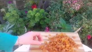 Aşure Tari̇fi̇ 😋