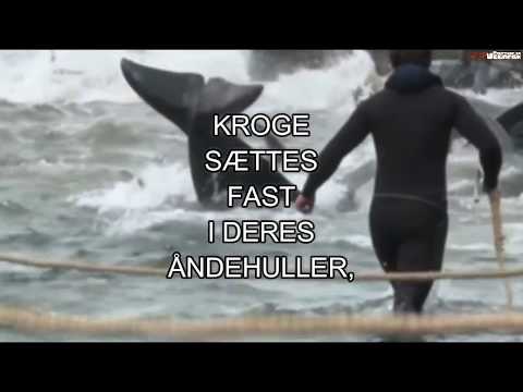 Video: På Færøerne Dræbes Delfiner Til Glæde - Alternativ Visning