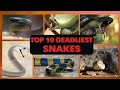 IMPOSSIBLE! Giant SNAKE Lay Eggs Hunters Saving Girl | MIKE FISHING#video #2024