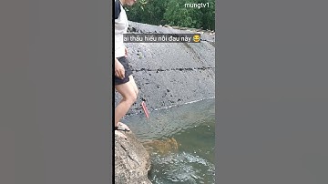 thả rùa về thiên nhiên 😂#giaitri