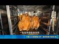 皮脆肉Q! 蒸烤雞鮮嫩爆汁 鋼管雞炭香四溢｜三立新聞LIVE
