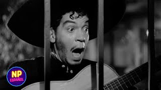 Cantinflas Le Canta A Rosario | El Siete Machos (1951) | Now Español