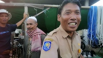 Kabar Gembira Buat Peternak Sapi Di Lombok, Pasar Masbagik Sudah  di Buka 3X Seminggu...