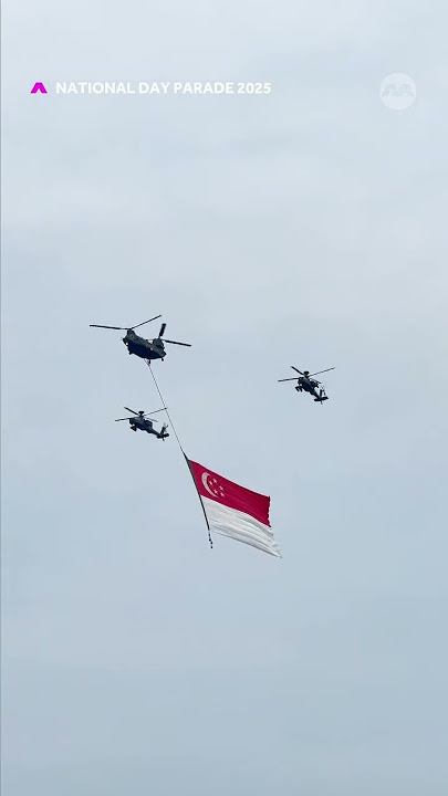 Nothing beats a 9 August holiday with all these patriotic vibes 🇸🇬🎉  #NDP25 #SG60 #NDP2025