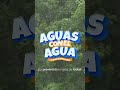 Aguas con el agua, No intentes cruzar ríos crecidos #laprevenciónestareadetodos