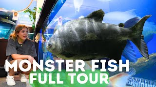 World's LARGEST Monster Fish! FULL Tour at Ohio Fish Rescue