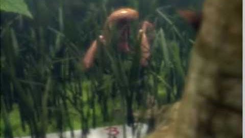 AYAL Engine : Grass collision