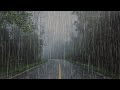 Lluvia relajante para dormir rpido en 3 minutos  sonido de lluvia en el bosque brumoso  asmr