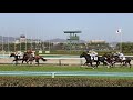 【兵庫】阪神競馬場・生まれて初めて行った競馬場で初めて馬券を買ってみた日