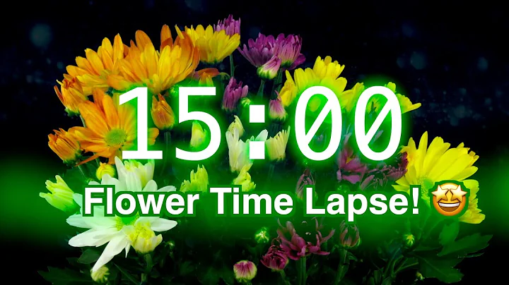 15-Minute Timer with Music | Stunning Flower Bloom Time Lapse for Classroom Focus