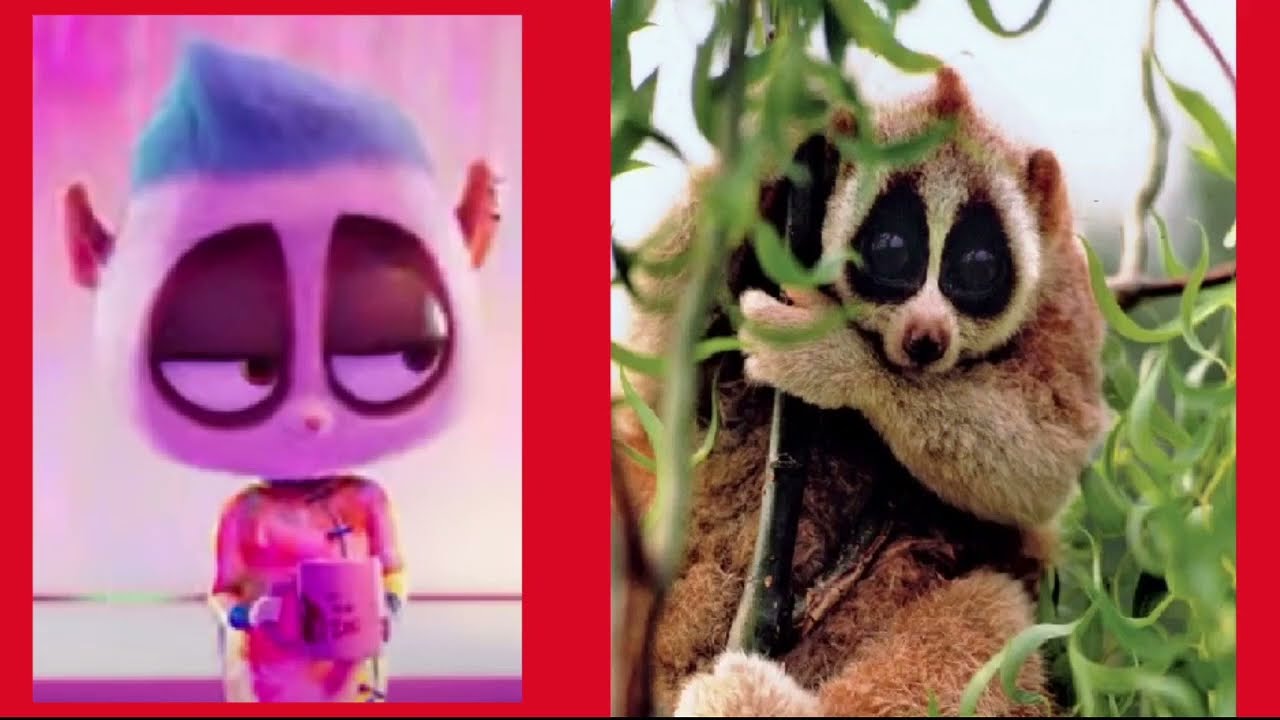 #1 RALLY ROAD RACERS Vida Real / Real Life